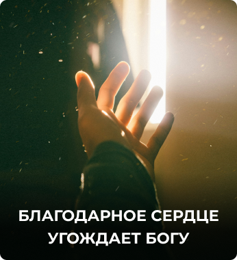 Главный баннер-моб